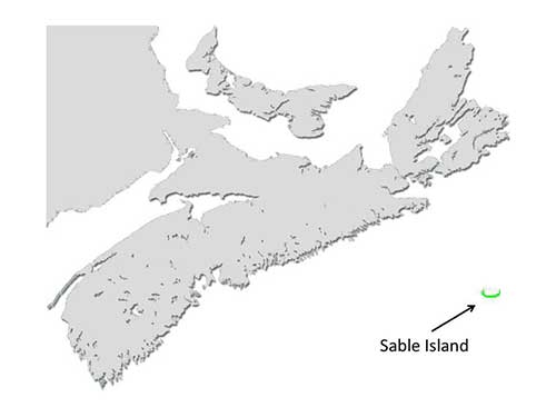 Sable Island Horse Map