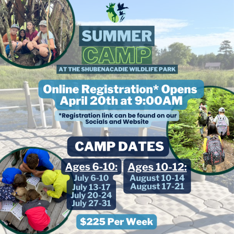 Summer Camp Registration Information