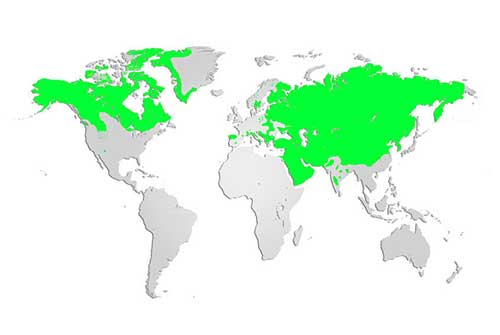 gray wolf habitat map