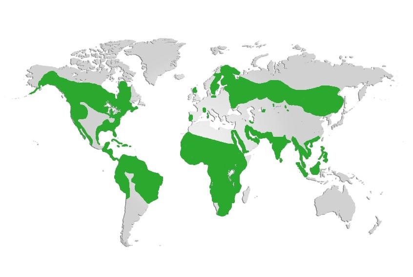 Osprey Map