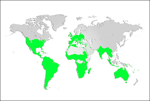 Barn Owl Map