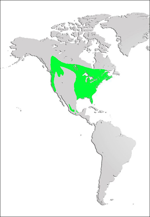 Barred Owl Map