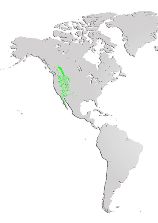 Bighorn sheep Map