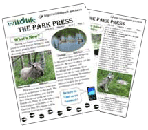 Park Newsletters