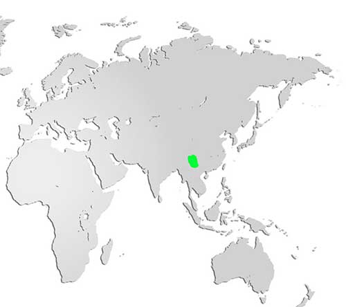 Lady Amherst Pheasant Map