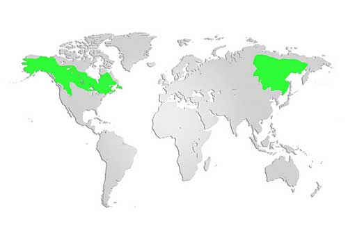 Moose Map