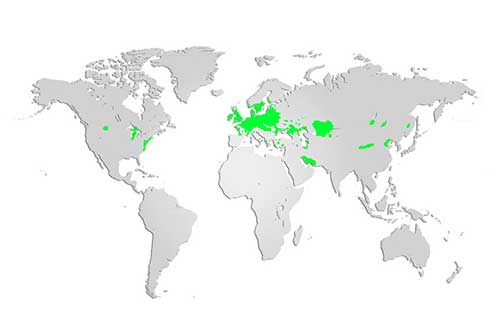 Mute Swan Map