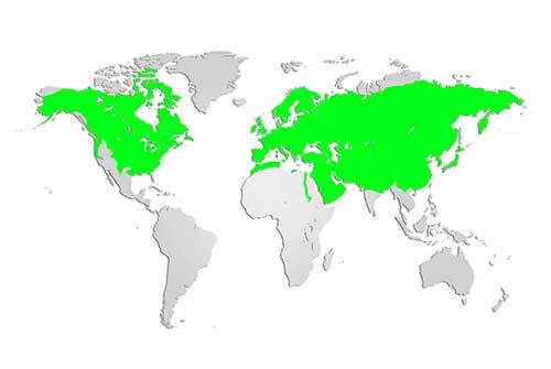 Red fox Map