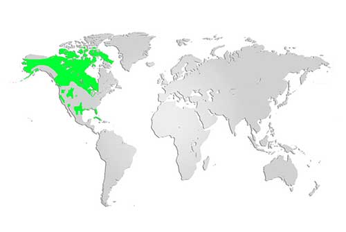 Sandhill Crane Map