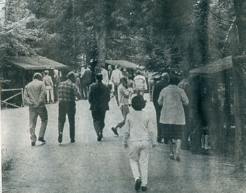 Park Visitors, 1973