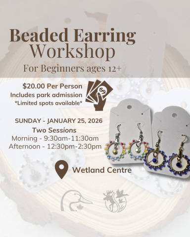 Beaded Earring Workshop Poster