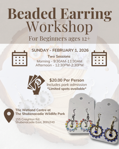 Beaded Earring Workshop image with date and time, as well as price and location