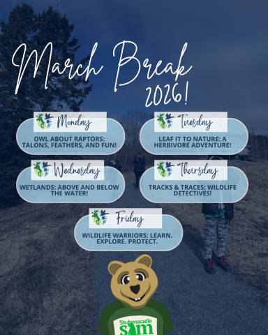March Break Camp Poster with Day Themes